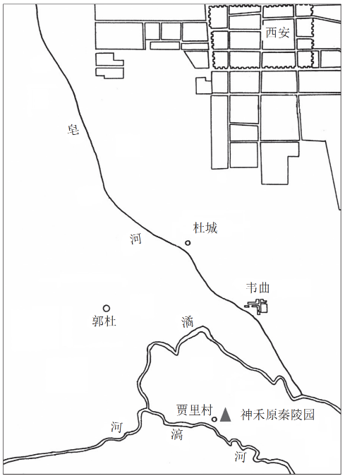 神禾塬大墓出土一件異獸頭骨遺骸,專家:秦始皇可能見過這個動物