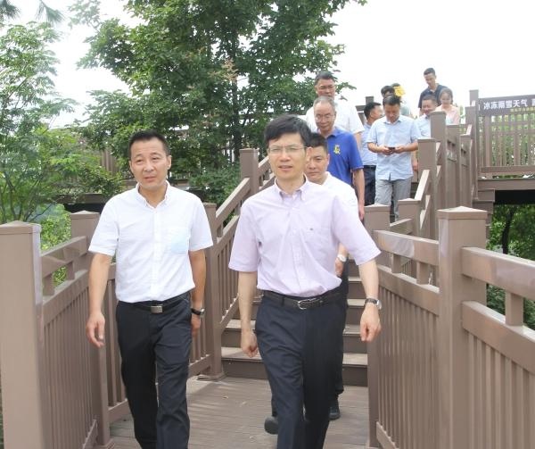 吕伟强带队调研金华山民宿产业发展工作