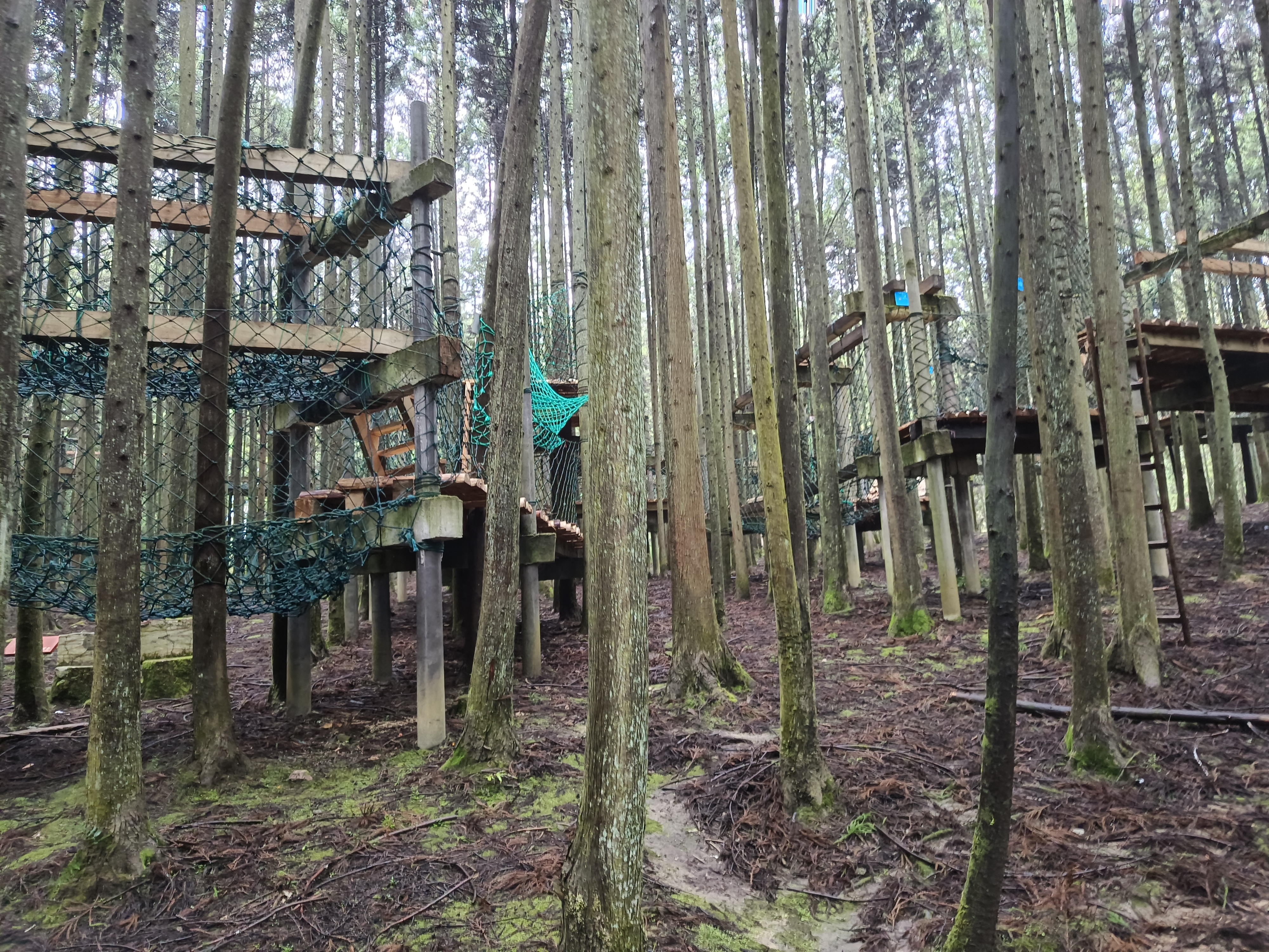 黄水旅游——走进"毕兹卡绿宫"