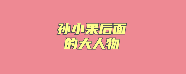 孙小果后面的大人物
