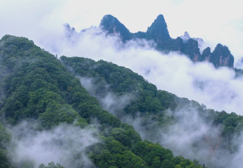 光雾山景区天气预报