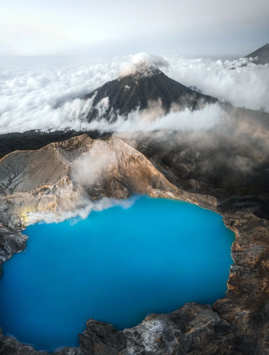 de djawatan forest)时,你会觉得自己身处在《指环王》中的法贡森林里