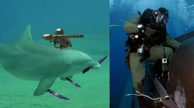 深海谍影:从希腊海战到美俄对决,1600年潜艇战史可谓步步惊心