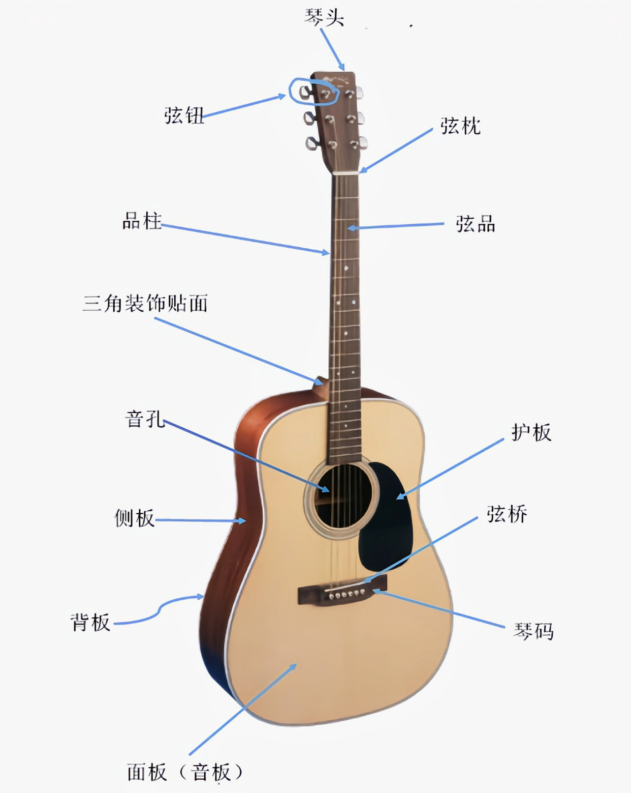 吉他的构造图解及其作用