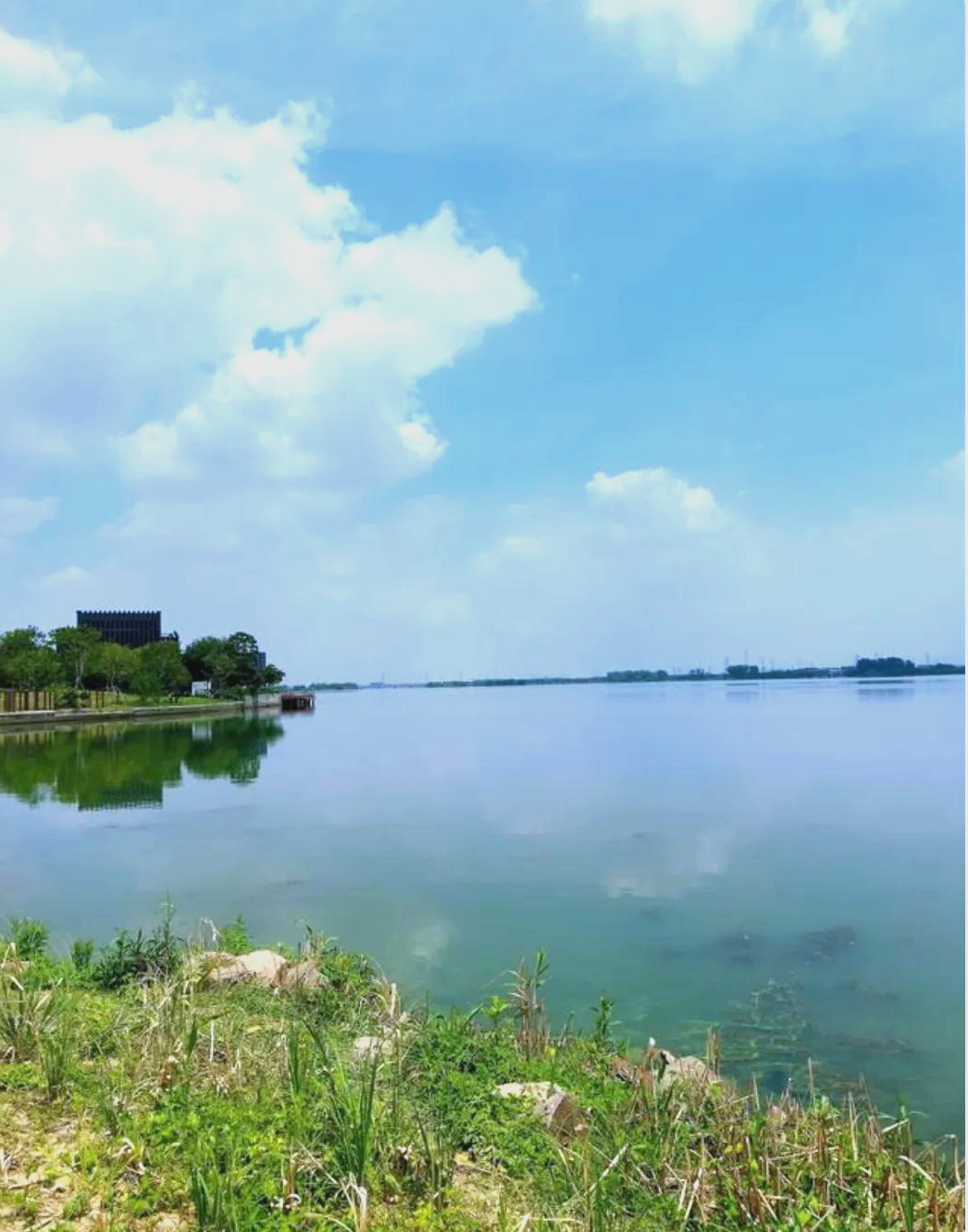 探索苏州漕湖湿地公园的自然之美与游园贴士