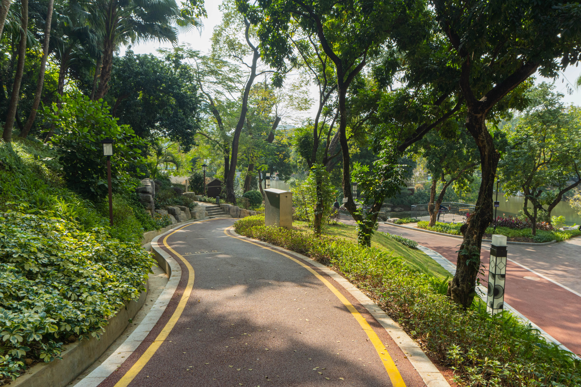 「新会旅游」这里有亿点点美丽!北园公园打卡get!