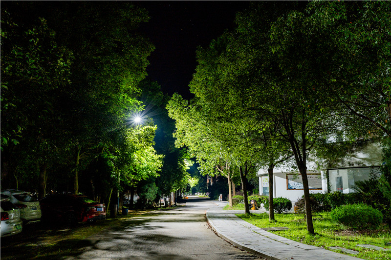 星空美景,庐山艺术特训营的夜