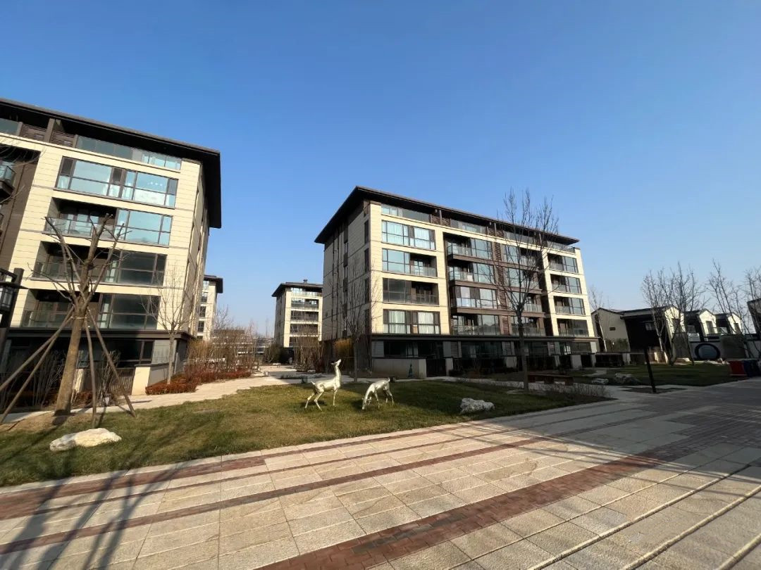 新绎固安来康郡有哪些服务版块?社区哪里好