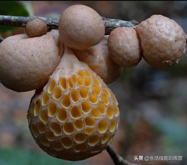 热水泡脚全身起鸡皮疙瘩(泡热水脚起鸡皮疙瘩什么原因) 热水泡脚全身起鸡皮疙瘩(泡热水脚起鸡皮疙瘩什么原因)