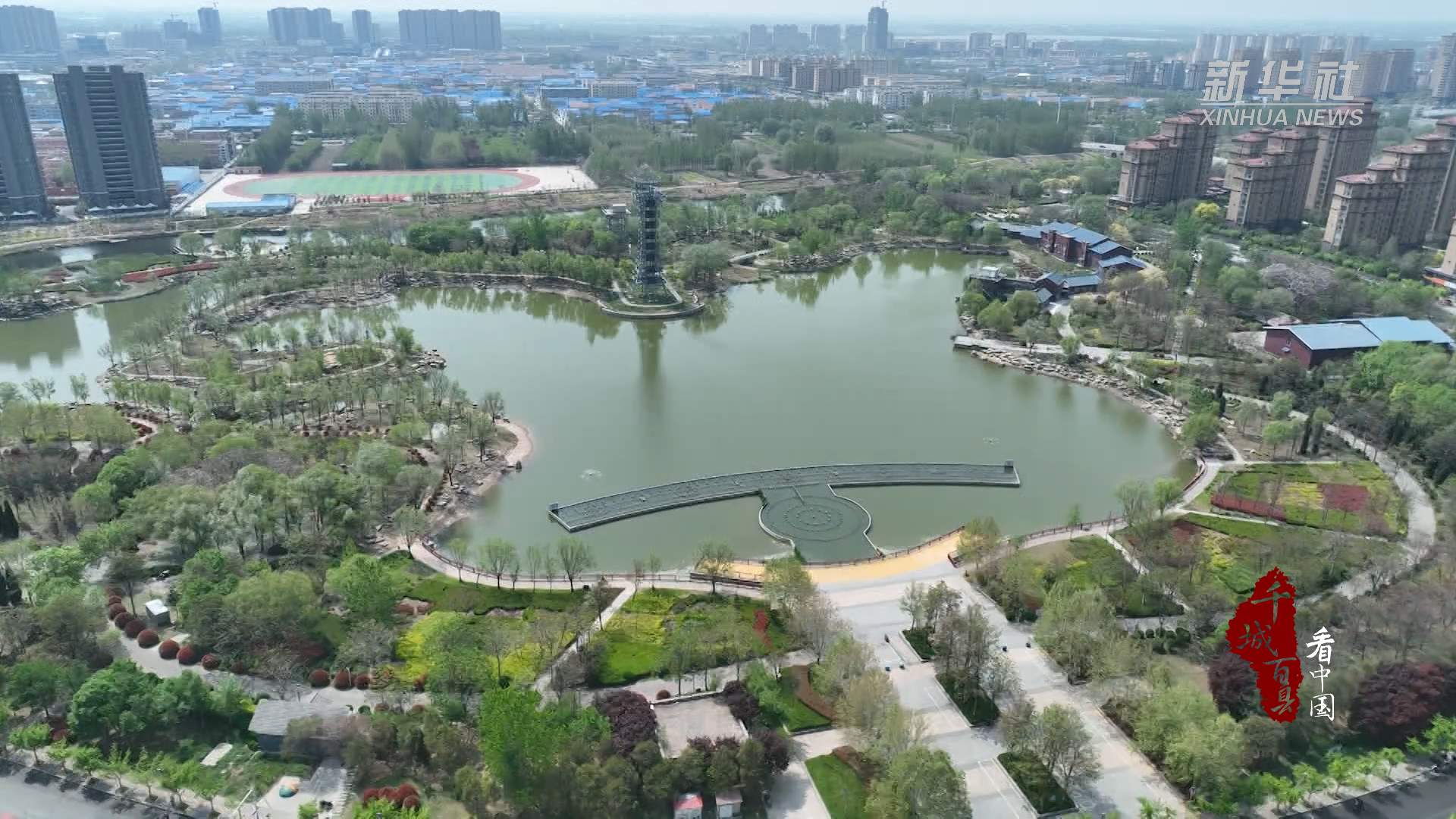 千城百县看中国丨山东定陶:科学防治战飞絮