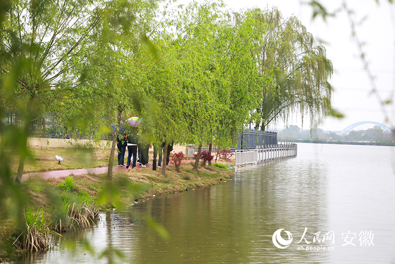 安徽无为姚沟镇:美丽乡村 美丽生活