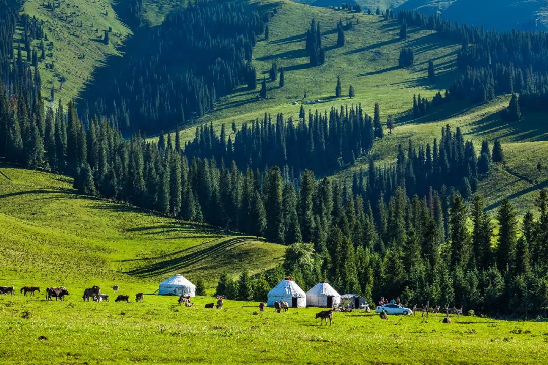 新疆最水灵的地方,为什么是伊犁?