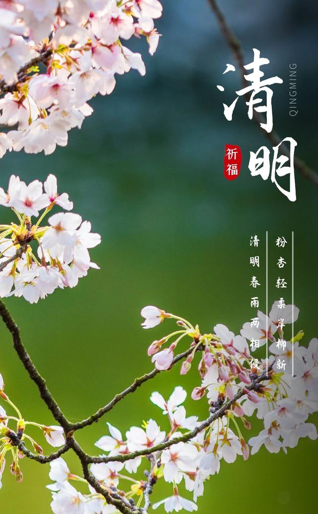 海报丨节气之美:诗意里的清明