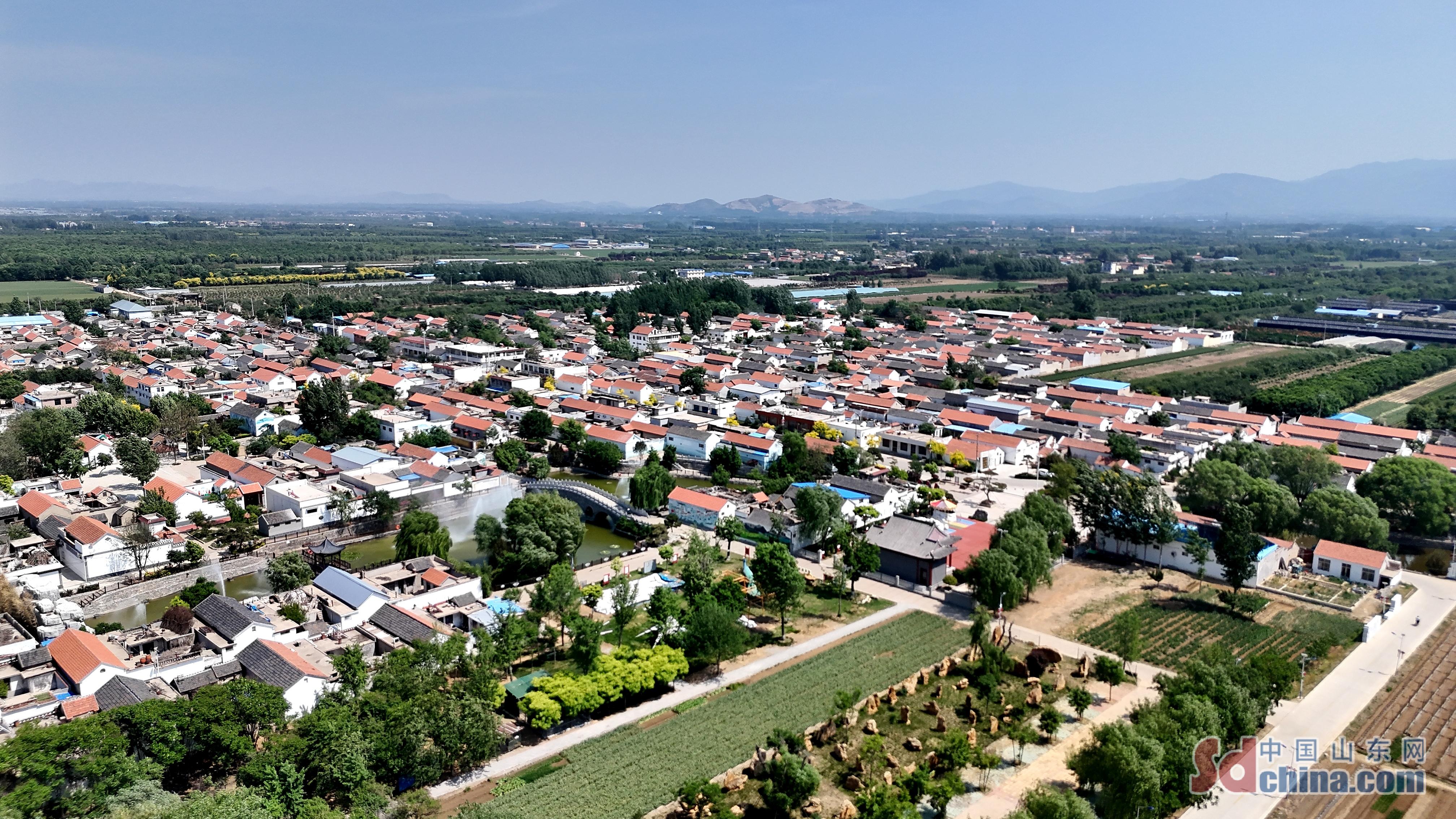 泰山区邱家店镇:开辟研学产业新赛道 实现文旅发展新融合