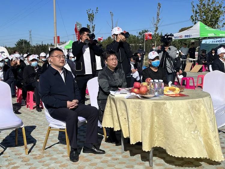 唐山市2022年农民丰收节暨滦南县东黄坨镇甘薯产业振兴发展大会圆满