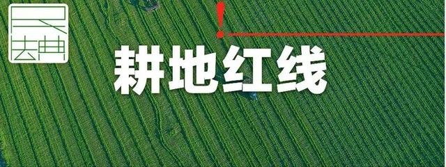 「"典"醒你我」对耕地实行特殊保护,严守耕地红线绝不动摇