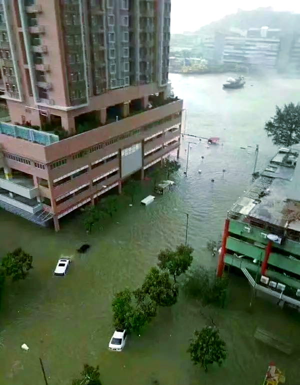 广东多地受灾 台风"天鸽"影响中南部地区