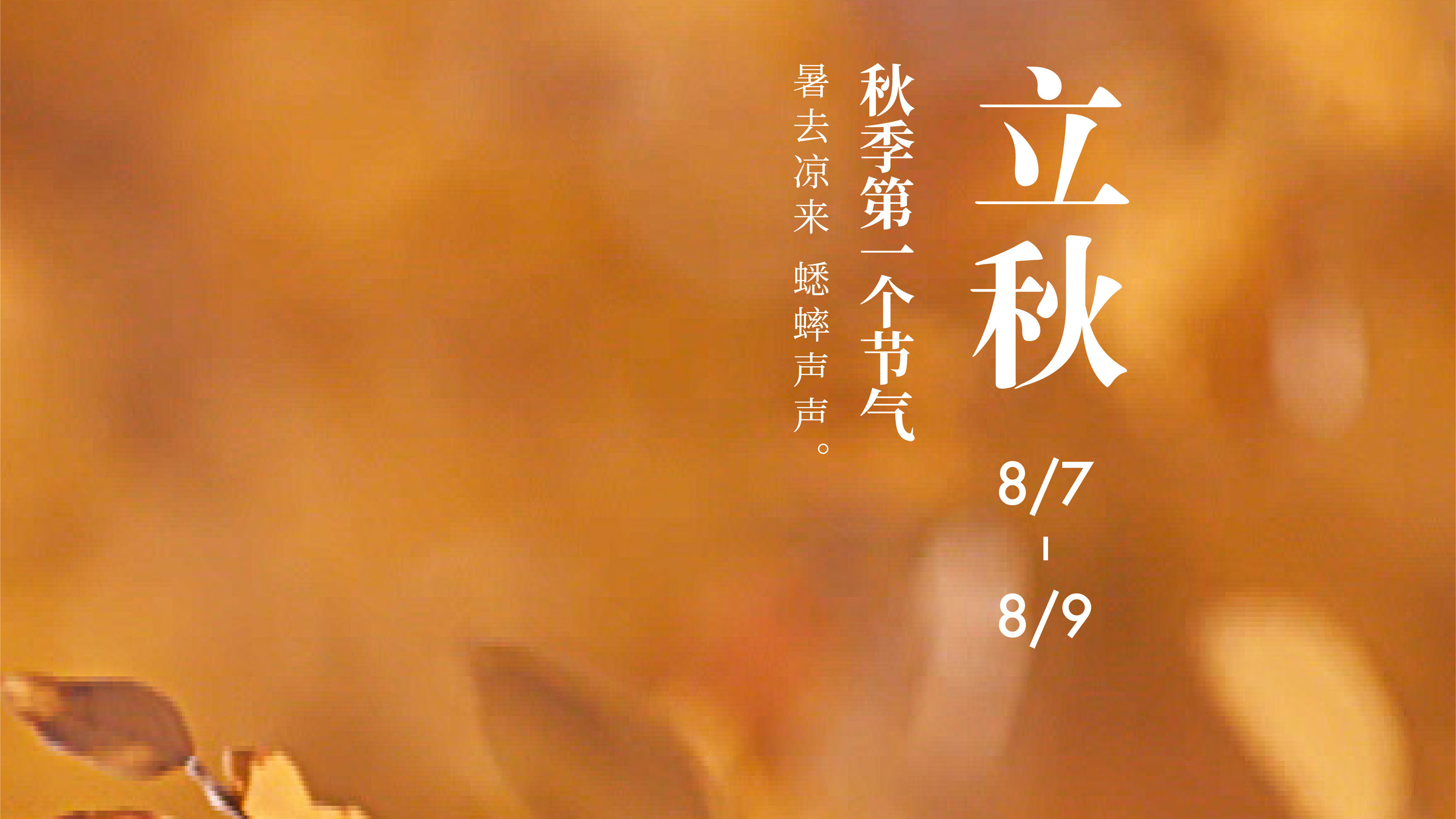 全球连线|二十四节气大赏之十三:立秋