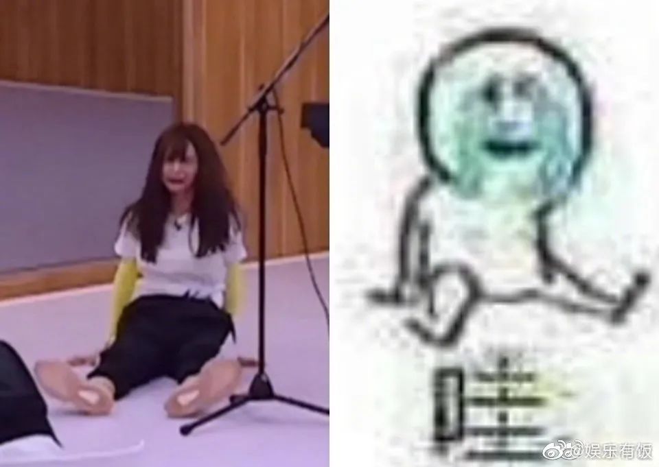 明星表情包|我哭了,我装的