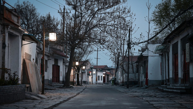 为什么农村人不太喜欢绿化街道?