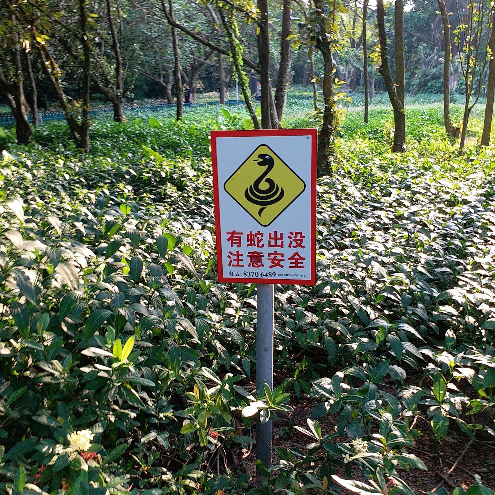 要如何解救?巨蟒缠死牛犊,母牛凄惨"哞哞"叫,主人束手无策
