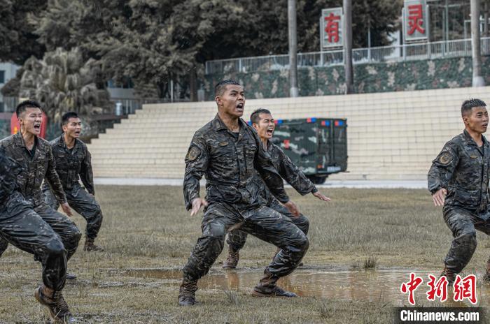 武警格斗训练图片