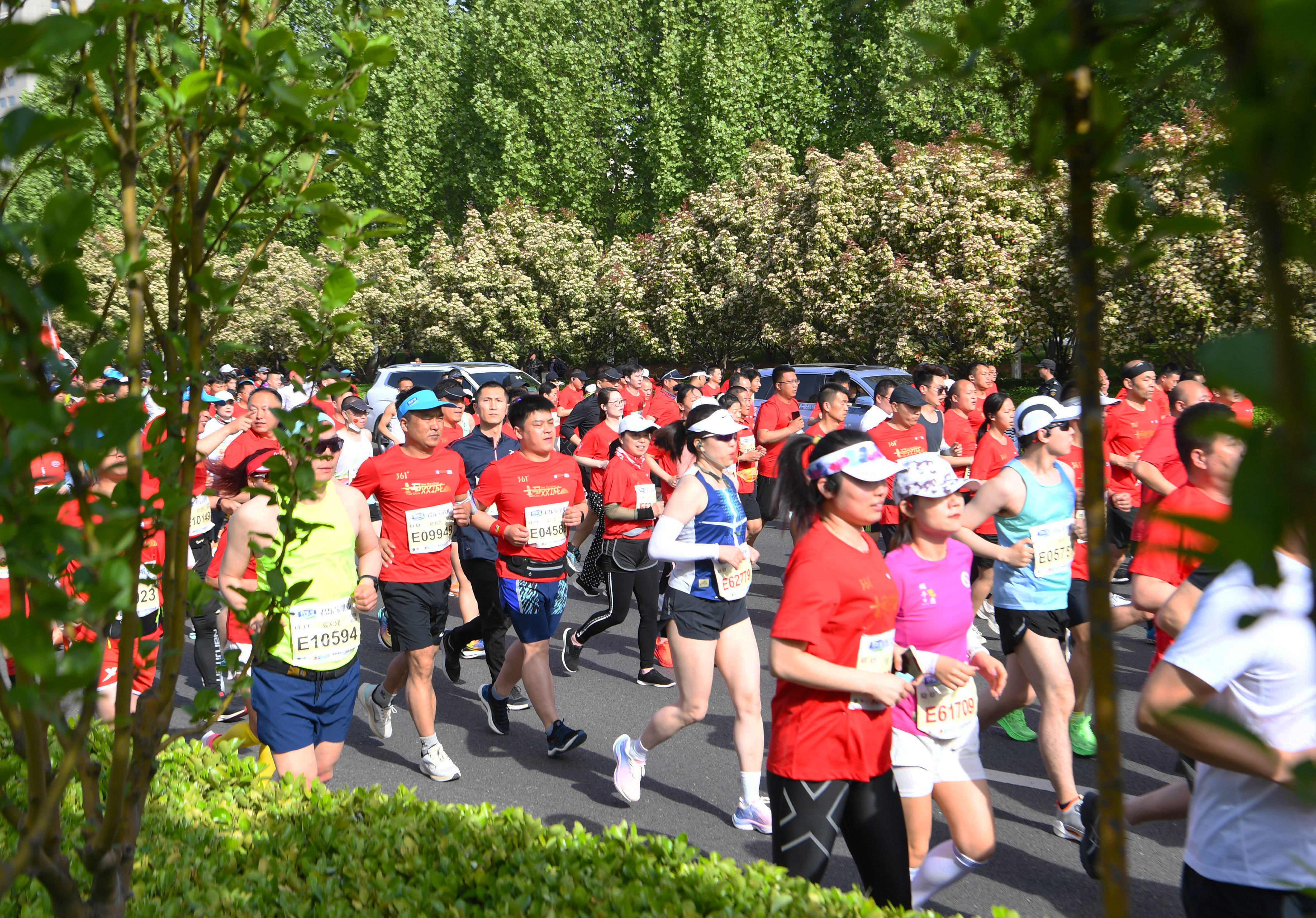 马拉松——2023郑开马拉松赛鸣枪开跑