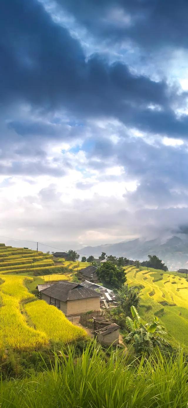 壁纸风景田园竖屏图片