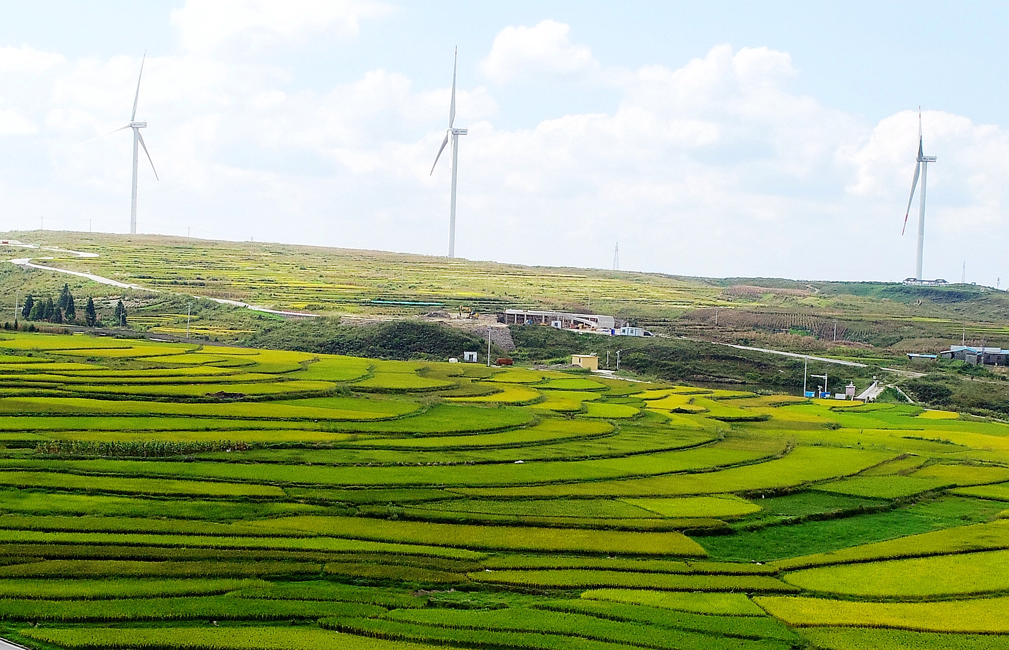 贵阳高坡梯田打翻了秋天的调色盘!