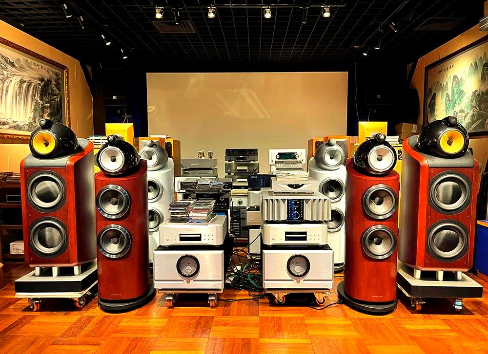 丹麦vitus audio ri