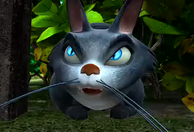 肥波为什么不出现了?