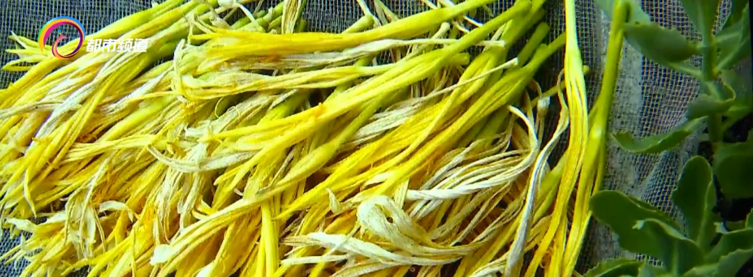 食用新鲜黄花菜有中毒风险!怎么吃才安全?