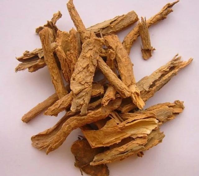 胡博士说中药|"地骨皮"如何巧治慈禧心病?一起了解