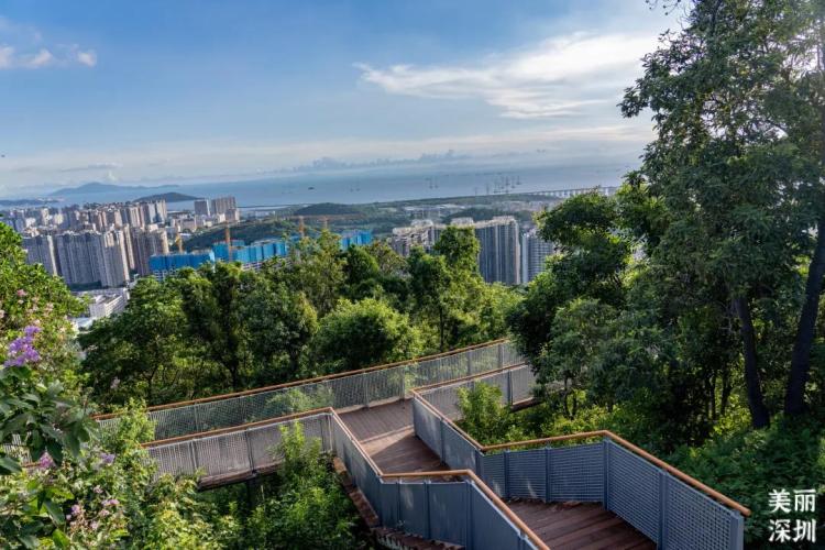 赴约深圳铁仔山公园,体验日与夜的浪漫