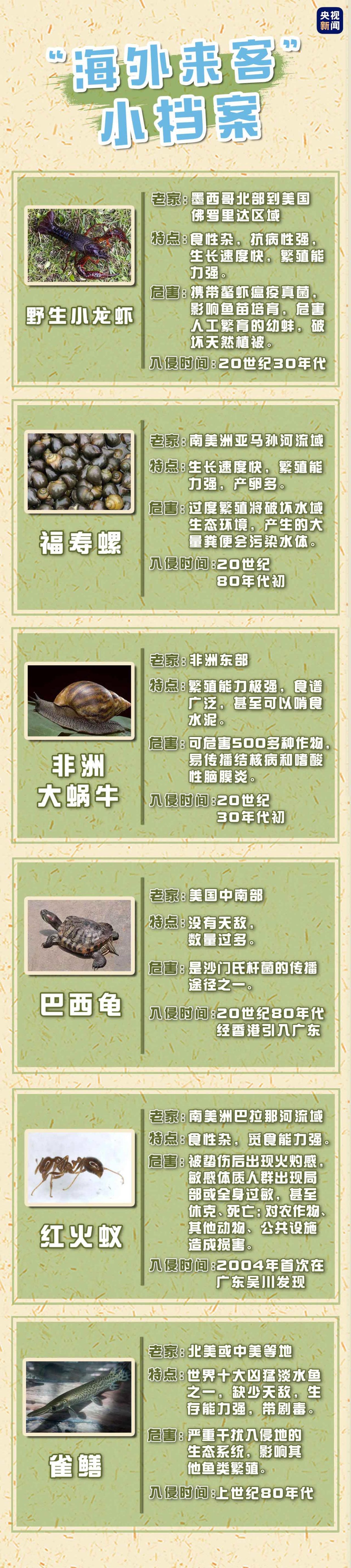 生态环境部更新外来入侵物种名单!一起来涨点知识