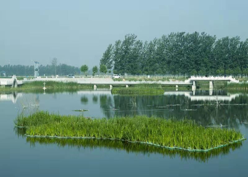 菏泽东明县:全面推进河湖长制  构建生态秀美新东明