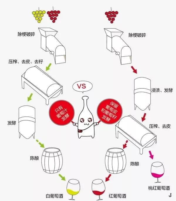 红酒酿造方法(红酒酿造工艺标准流程视频)