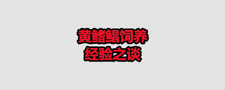 黄鳍鲳饲养经验之谈