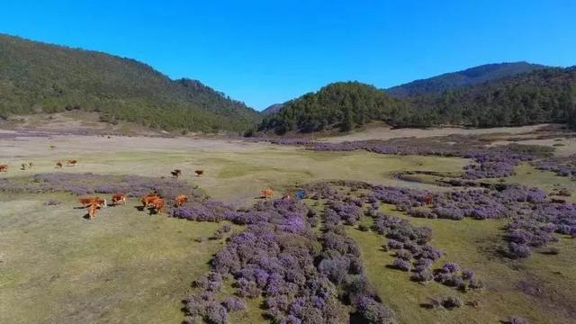 麗江推薦永勝縣松坪鄉保護綠水青山助推鄉村旅遊