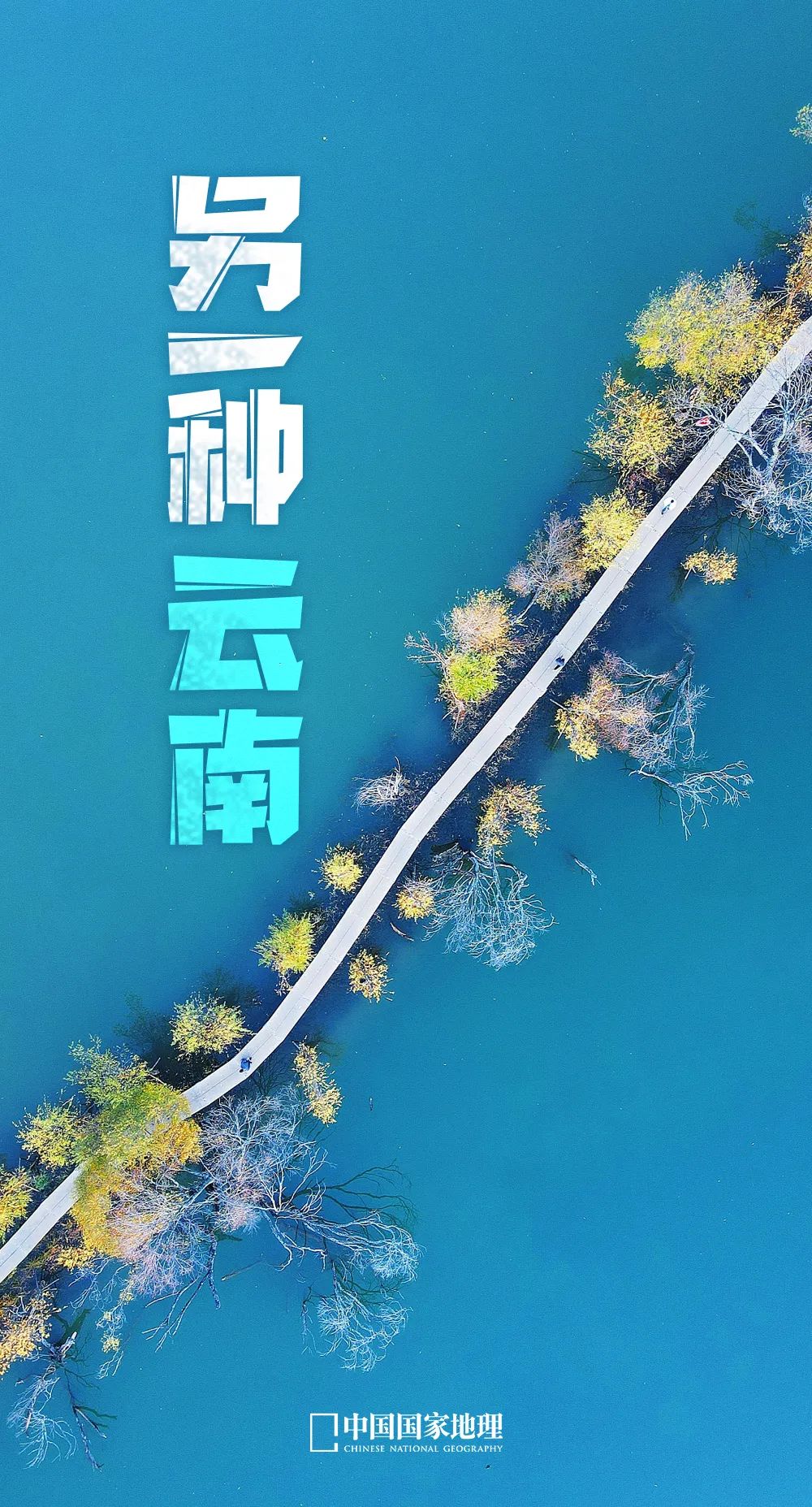 一到三,四月份,想去云南旅游的心就抑制不住,漫山遍野的春花;宜人舒适