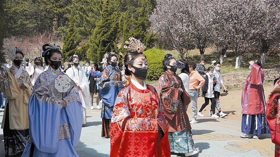樱舞漫天古韵浩荡 第十四届大连旅顺樱花节启幕