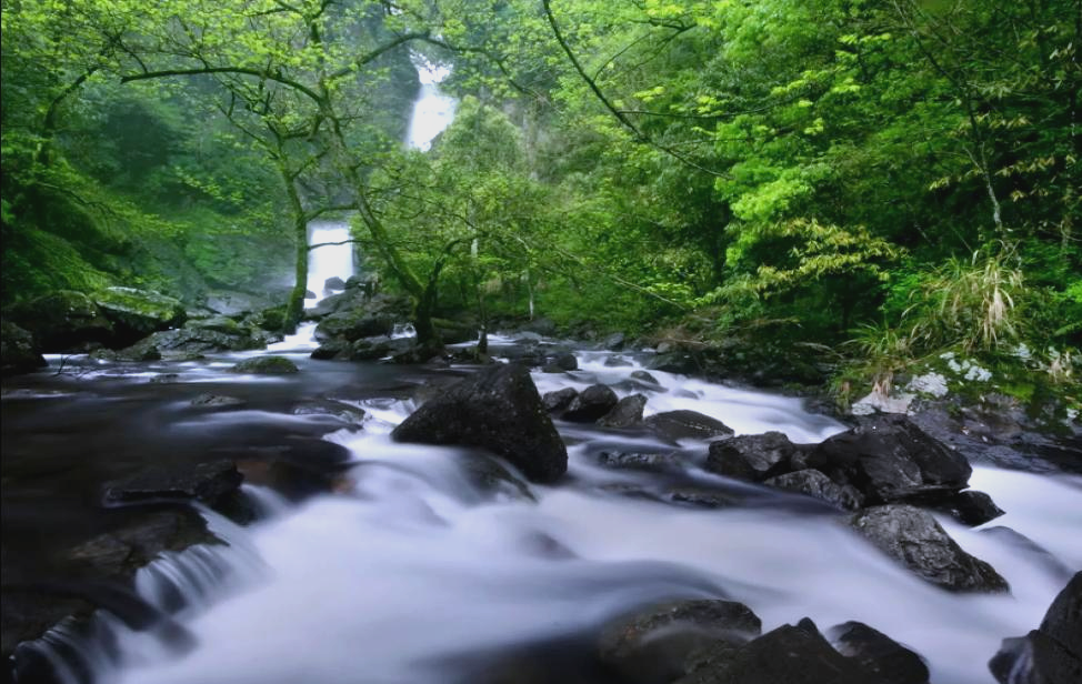 石台县多日游:探访莲花峰瀑布群,奇峰村古村落与仙寓山风光
