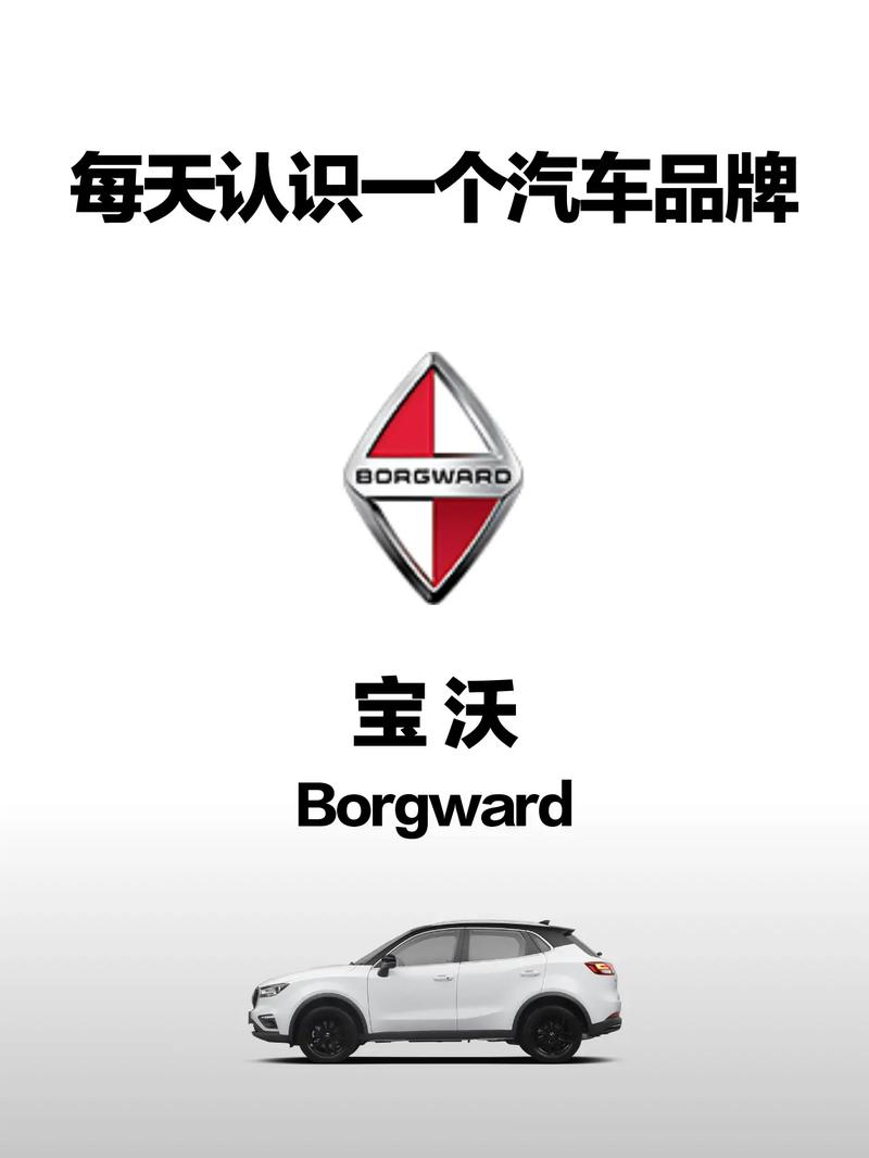 跟宝沃类似车标是什么车