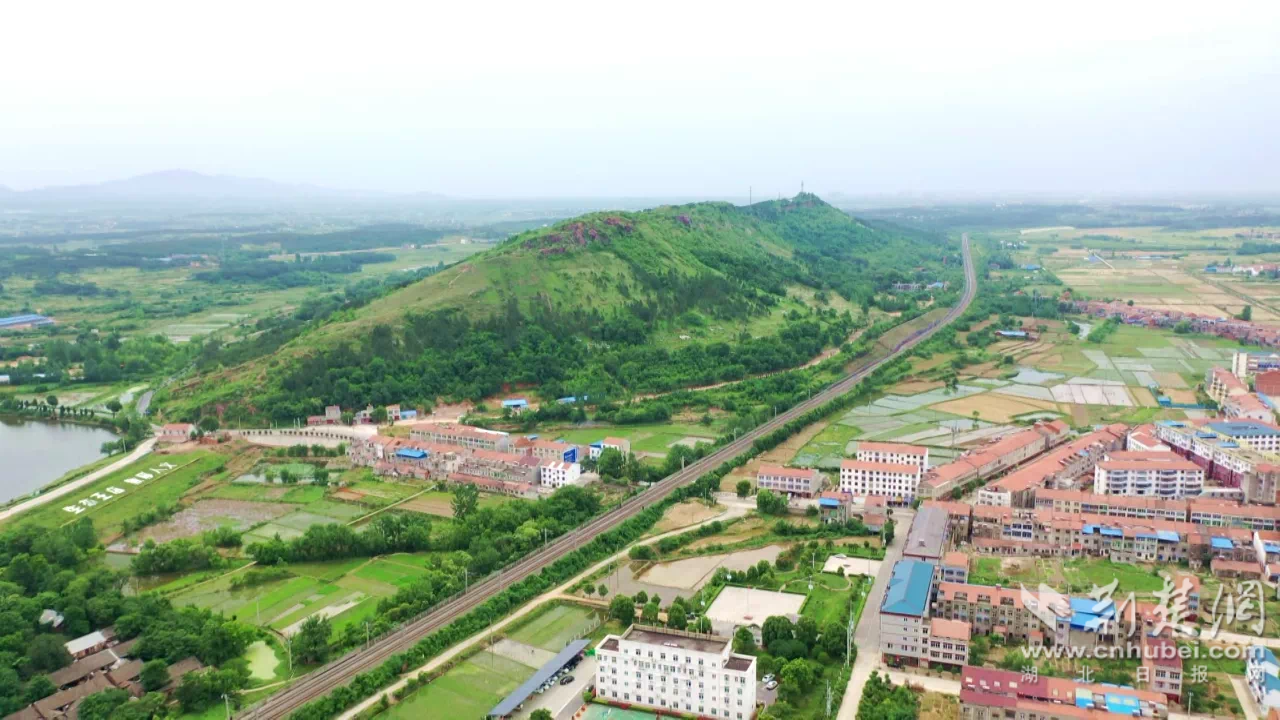 乡镇书记话旅游丨生态王店 敦厚人文