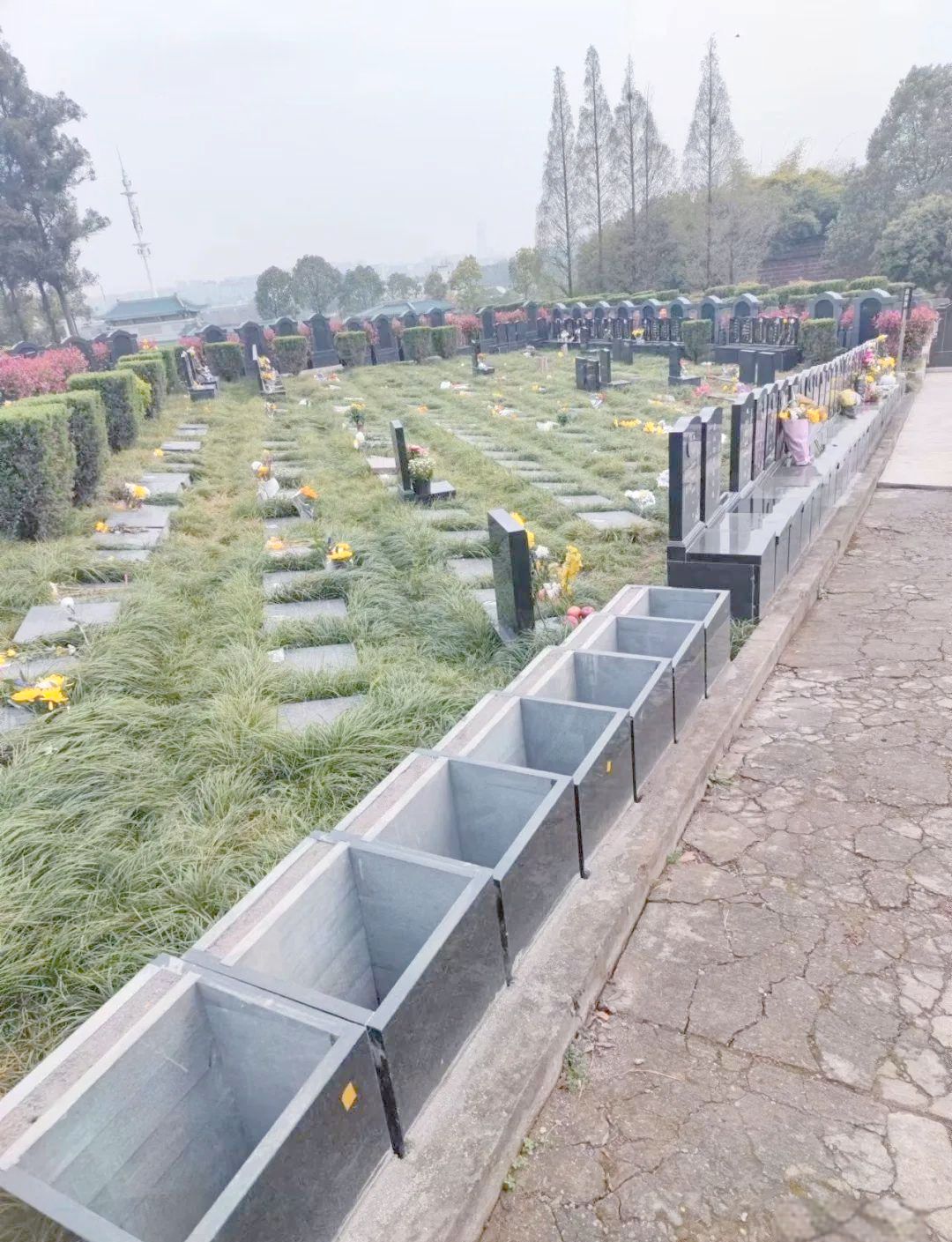 成都凤凰陵园:凤凰山下的永久公墓