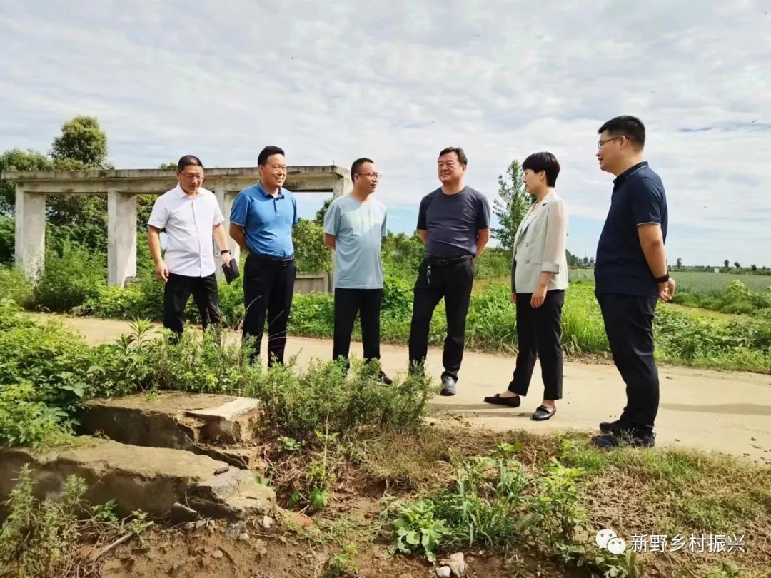 新野县委副书记孙国徽到樊集乡实地察看调研农业生产和农田排涝工作