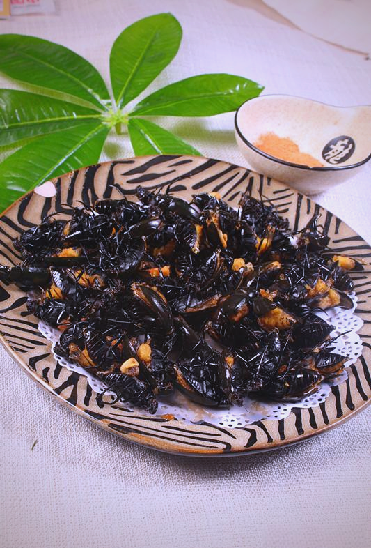 探秘盖盖虫:一种多功能的益虫新原料