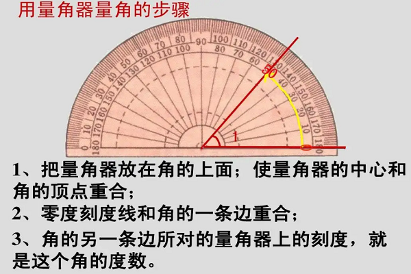 量角器的使用方法图片