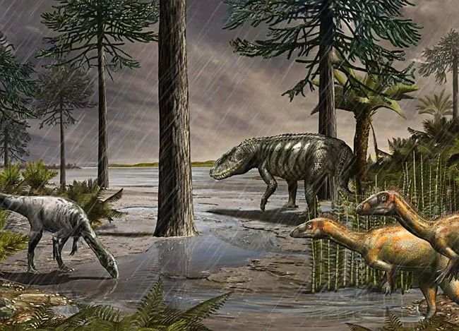 三叠纪动荡的纪元在灭绝中寻找出路
