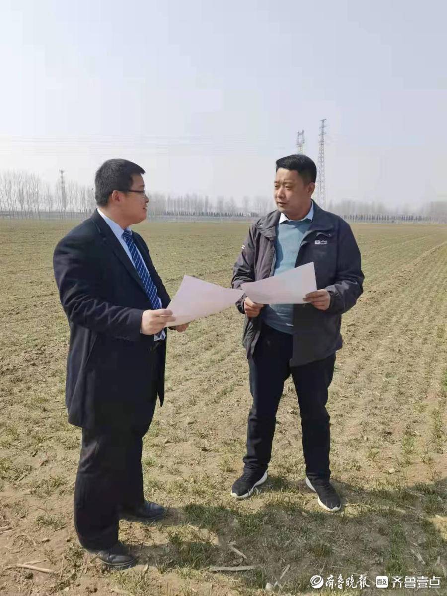 新泰"全链条"式服务,提交春耕备播"新泰答卷"